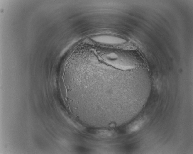 X0000063520347200601271841