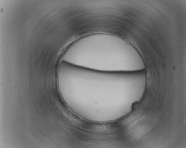 X0000063520349200601271841