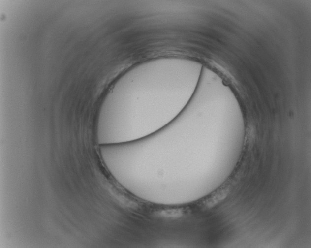 X0000063520353200601271842