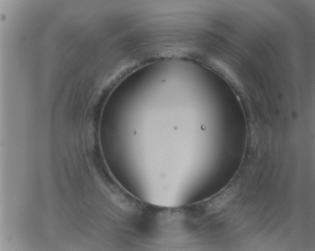 X0000063520354200601271842