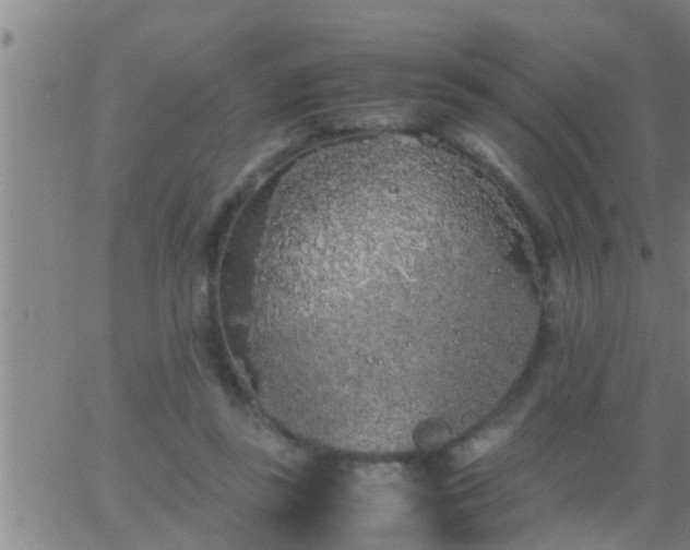 X0000063520355200601271842