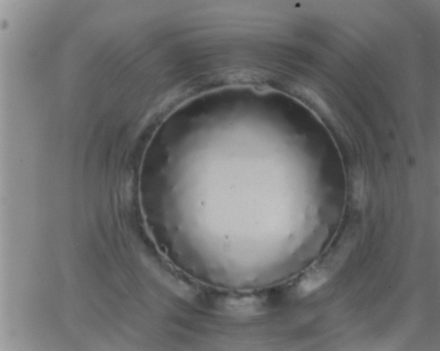 X0000063520357200601271842