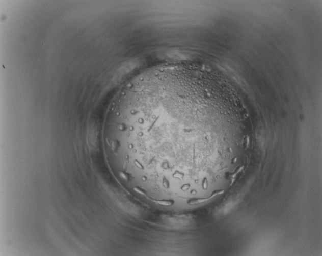 X0000063520359200601271842