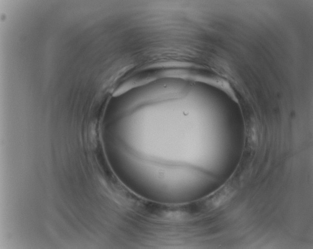 X0000063520360200601271842