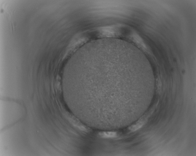 X0000063520361200601271842