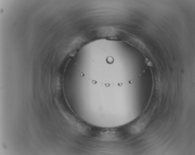 X0000063520362200601271842