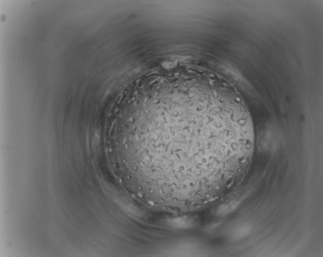 X0000063520365200601271842