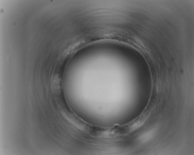 X0000063520366200601271842