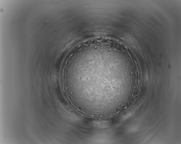 X0000063520367200601271842