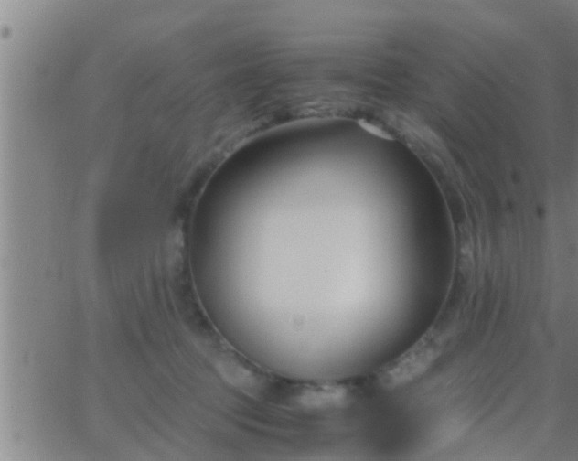 X0000063520369200601271842