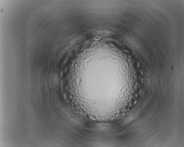 X0000063520371200601271842