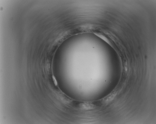 X0000063520372200601271842