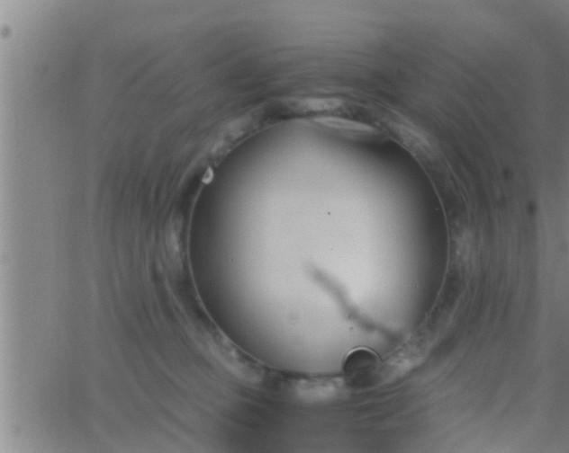 X0000063520373200601271842