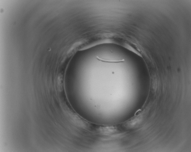 X0000063520378200601271842