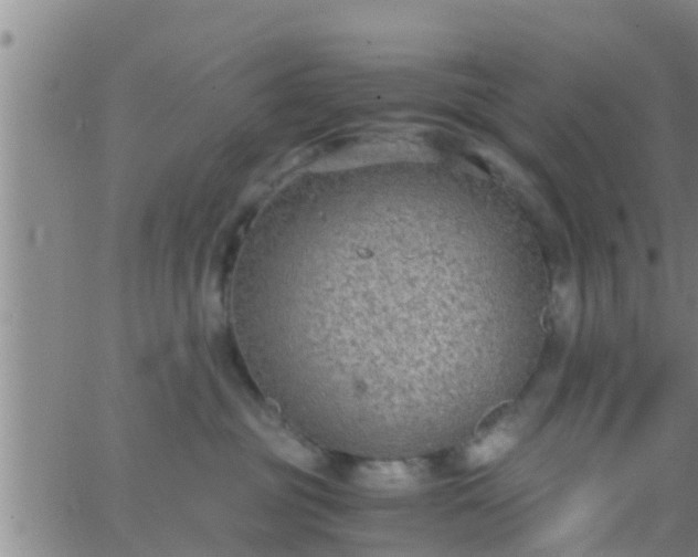 X0000063520381200601271842