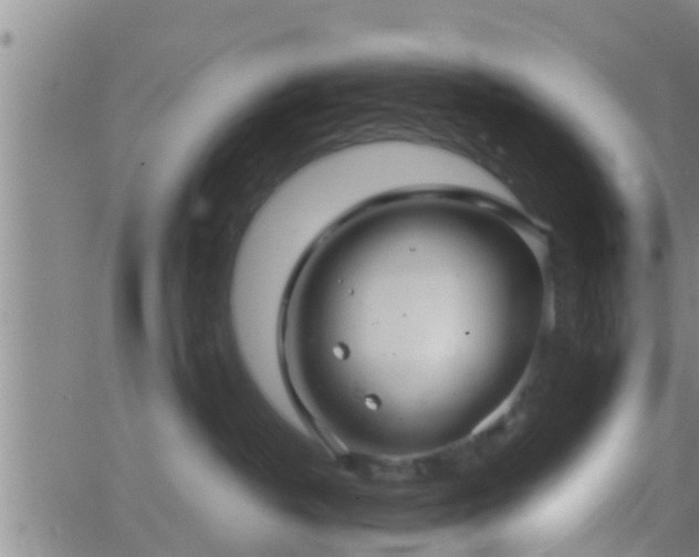 X0000063520382200601271842