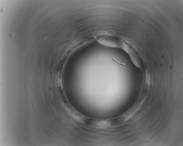 X0000063520383200601271842