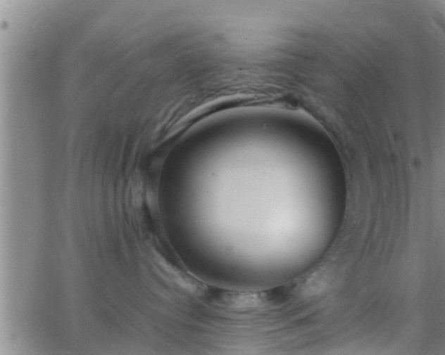 X0000063520384200601271842