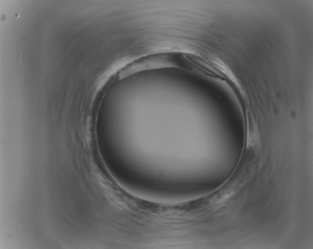 X0000063520387200601271841