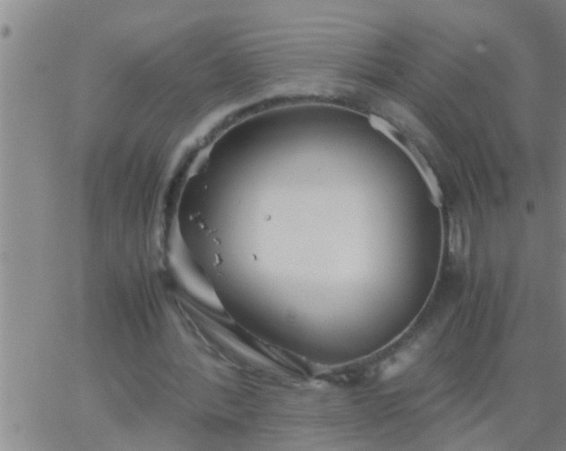 X0000063520388200601271841