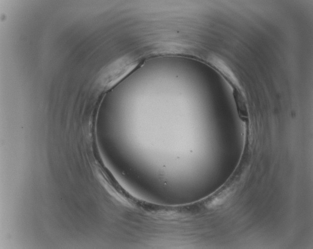 X0000063520389200601271841