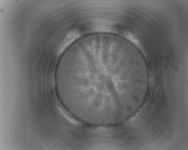 X0000063520390200601271841