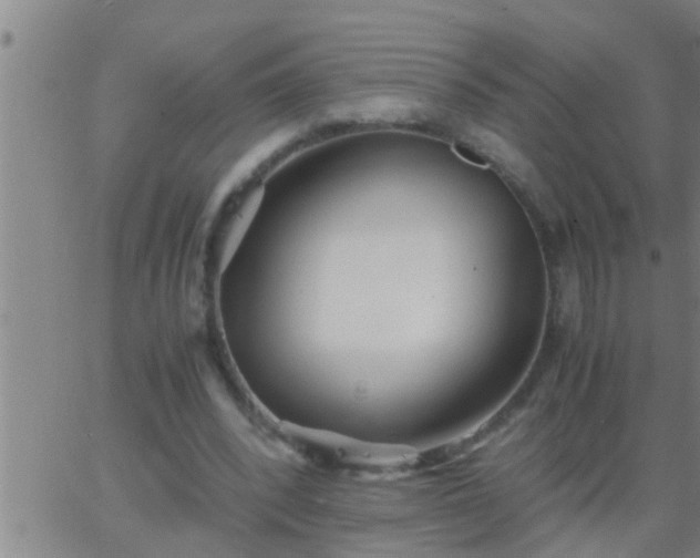 X0000063520392200601271841