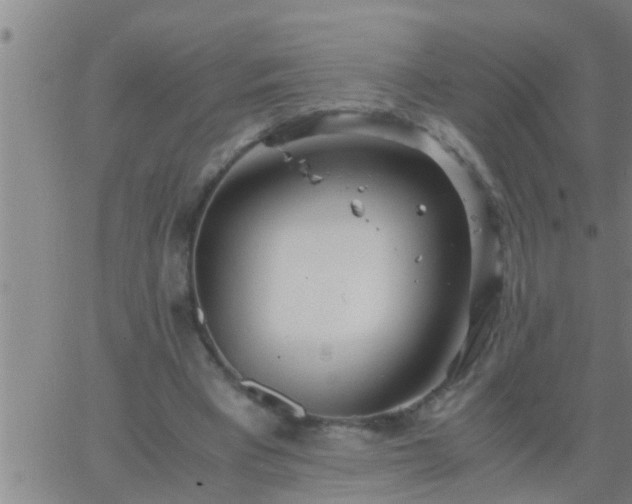 X0000063520393200601271841