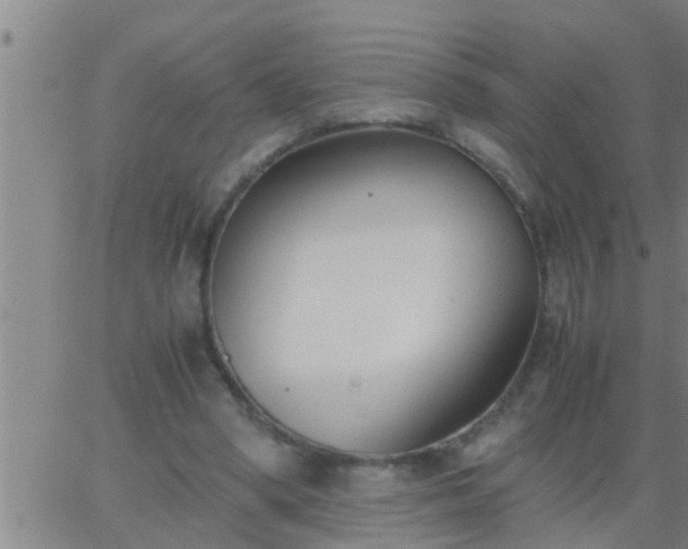 X0000063520394200601271841