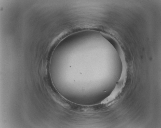 X0000063520395200601271841