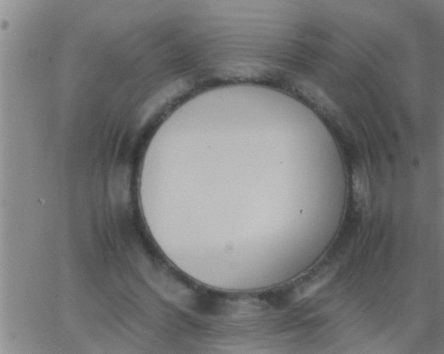 X0000063520396200601271841