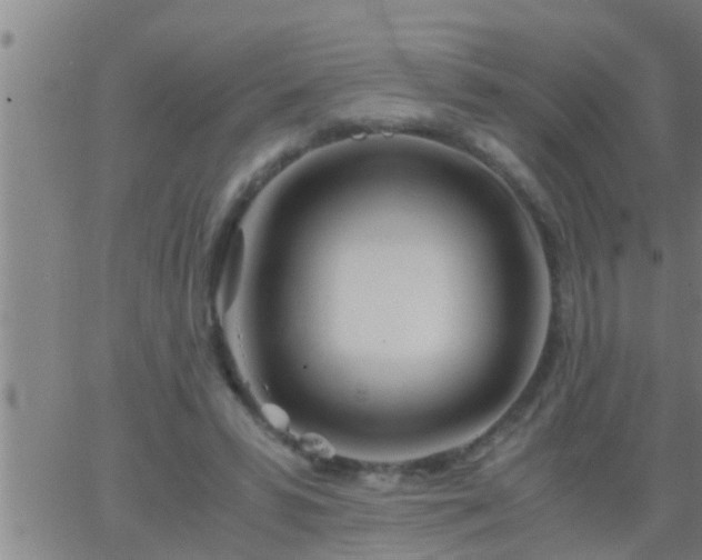 X0000063520399200601271841