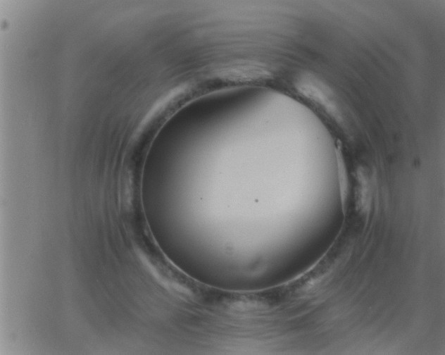 X0000063520400200601271841