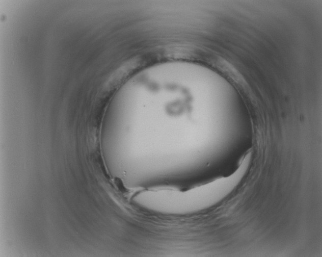 X0000063520401200601271841