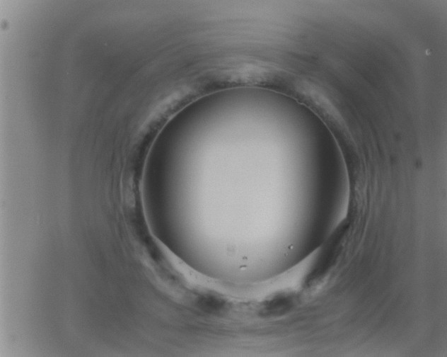 X0000063520403200601271841