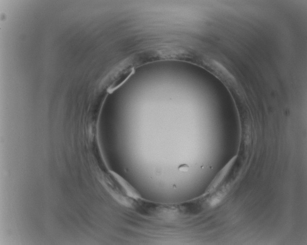 X0000063520405200601271841