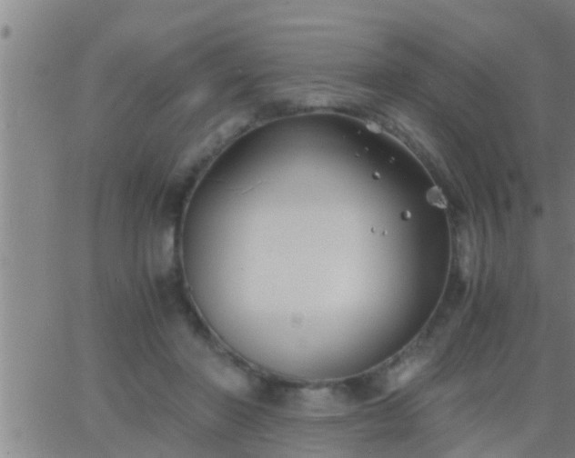 X0000063520406200601271841