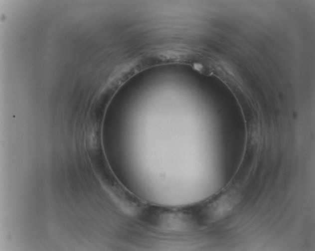 X0000063520408200601271841