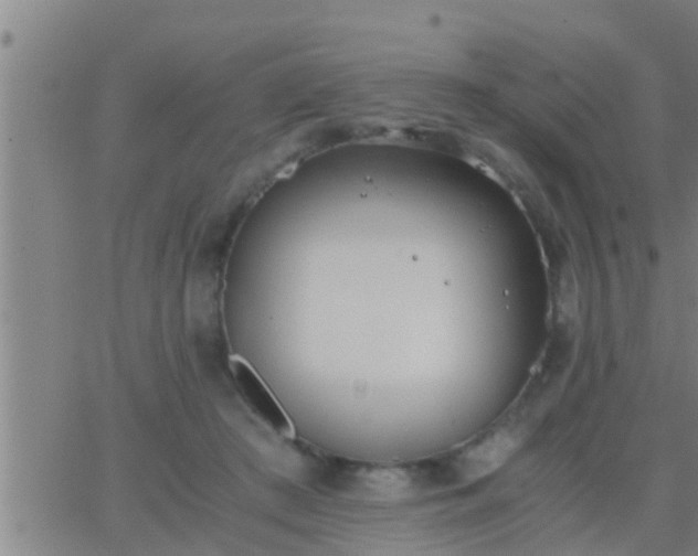 X0000063520409200601271841