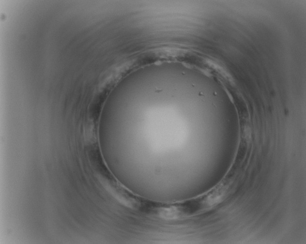 X0000063520411200601271841