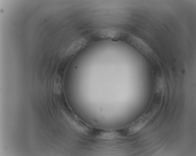 X0000063520414200601271841