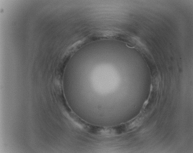 X0000063520415200601271841