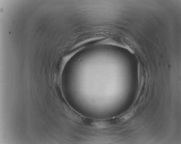 X0000063520417200601271841