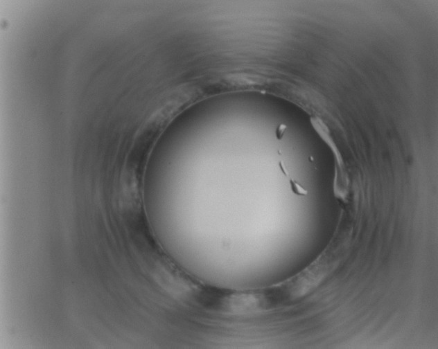 X0000063520418200601271841