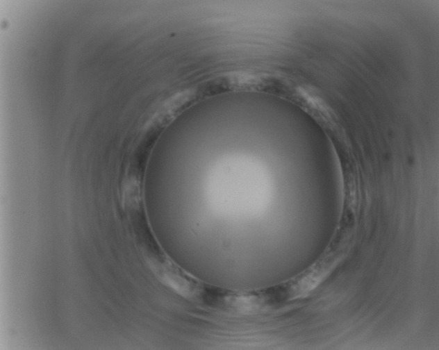 X0000063520419200601271841