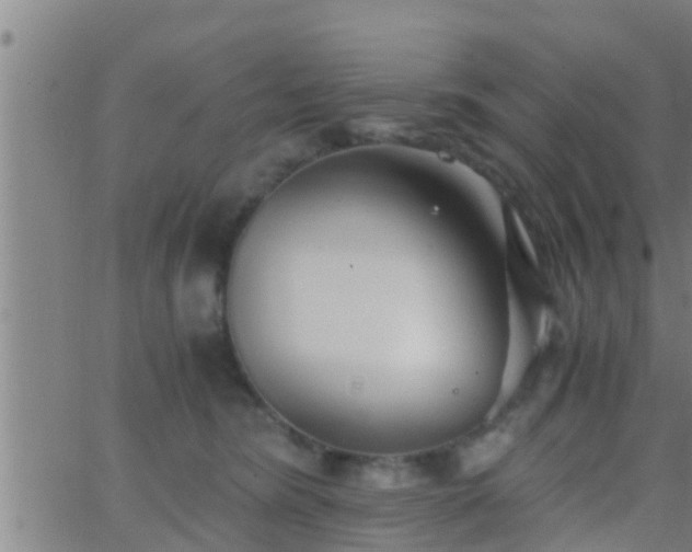 X0000063520420200601271841