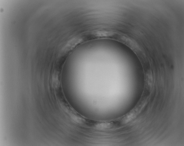 X0000063520422200601271841