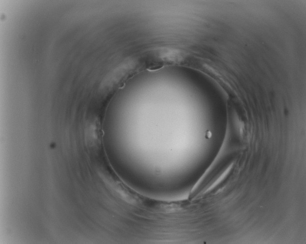 X0000063520424200601271840