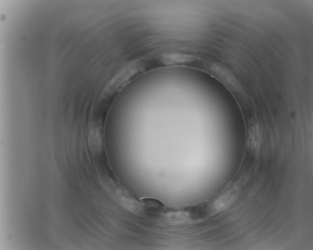 X0000063520426200601271840