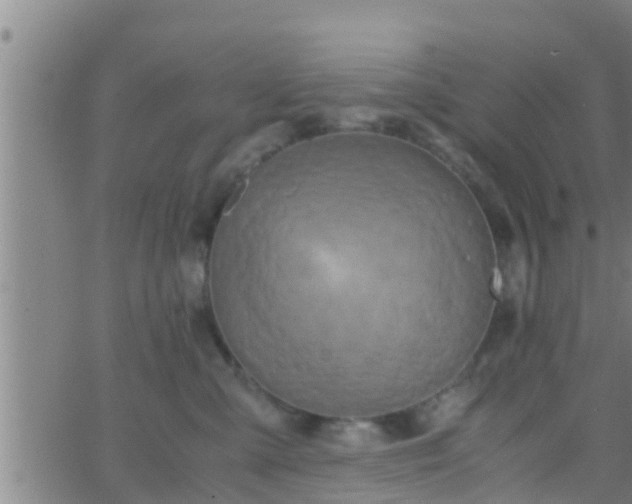 X0000063520427200601271840